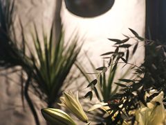 -Apollo·西班牙小酒馆(安福路店)