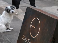 -21G Espresso(吉珠南门店)