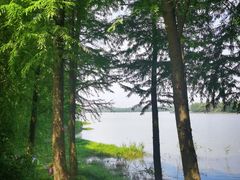 -上海海湾国家森林公园