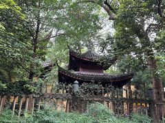 -灵隐飞来峰景区