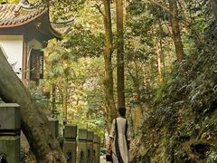 -十八棵（老龙井）御茶园(老龙井店)