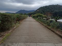 -桃花岛风景旅游区