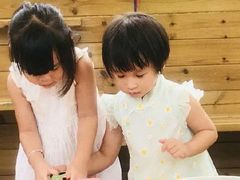 -杨梅红艺术教育(深圳南山书城教学中心)