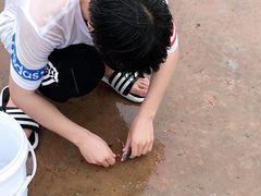 -阿军排档·烧烤
