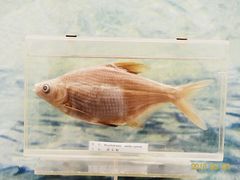 -下渚湖国家湿地公园科普馆