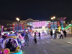 -芦潮港集贸市场