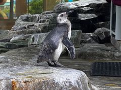 -上海海昌海洋公园