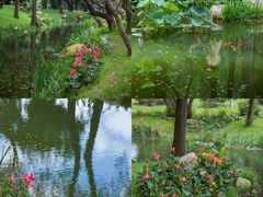 -人民公园(罗湖区)