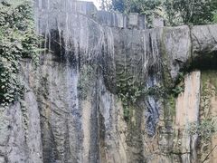 -西双版纳原始森林公园