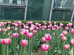 -石家庄市植物园