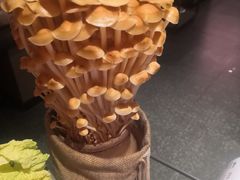 活体金针菇-麻路成都火锅(柏威年店)
