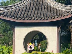 -宜兴张公洞