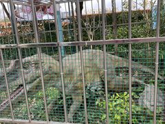 -自然谷恐龙园
