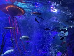 -沈阳海洋探索中心