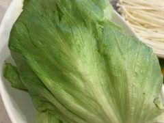 -蝎王府羊蝎子(北大地店)