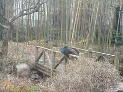 -苏州环秀晓筑养生度假村