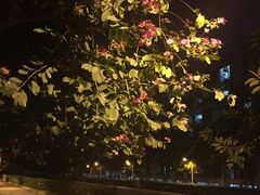 -华南师范大学(广州大学城校区)