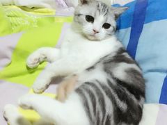 -骐奇宠物诊疗中心(南亭公路店)