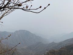 -大岭沟猕猴桃谷风景区