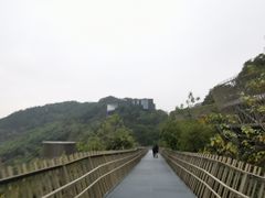 -福道