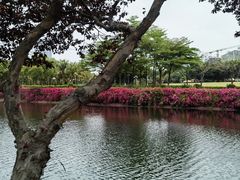 -深圳龙潭公园