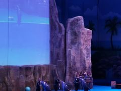 -华夏文旅海洋公园