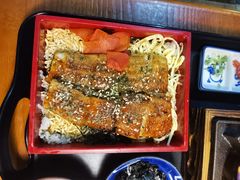 自制活鳗鱼盖饭-鳗鱼家·深夜食堂(军博店)