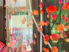 -上島咖啡(安亭店)