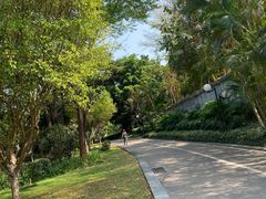-荔香公园