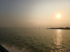 -金鸡湖桃花岛