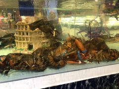 -盒马鲜生(新都心店)