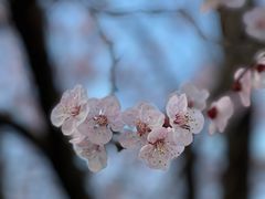 -上海吴淞炮台湾国家湿地公园