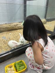 -未来动物城动物主题公园(大悦城店)