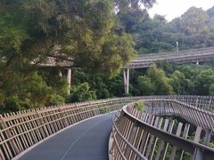 -福道