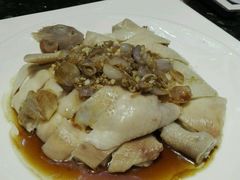 -新兴·金羊座·粤菜点心(乐峰店)
