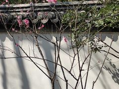 -汇龙潭