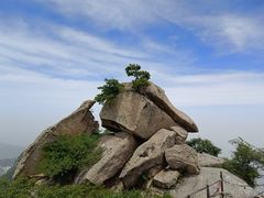 -孟记传统大刀面(星源商城店)