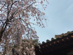 -西安青龙寺遗址景区