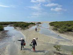 -北海金海湾红树林生态旅游区