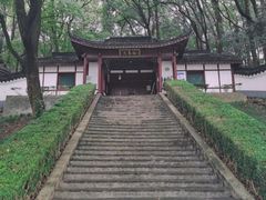 -上海佘山国家森林公园天马山园