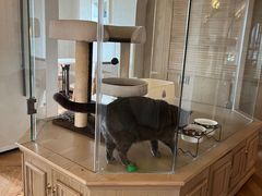 -Me Coffee下午茶艺术空间