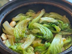 虾酱啫唐生菜-煲煲好(朝阳门店)