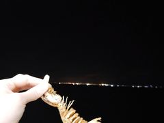 -七鲜渔港美食餐厅(巽寮湾海景店)