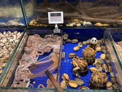 水产区-高佳庄·舟山海鲜(海景旗舰店)