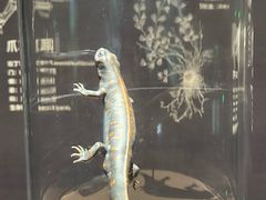-杭州西溪喜来登度假大酒店