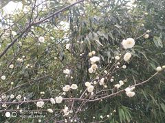 -江南大学(蠡湖校区)
