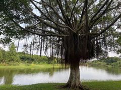 -松山湖风景区松湖烟雨