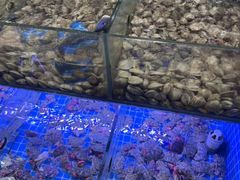 -海韵之星邮轮水会(明发商业广场店)