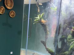 -泰悠谷养生SPA(世茂商业街店)