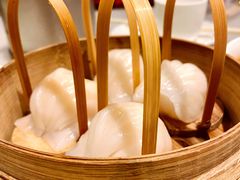 招牌虾饺皇-金鼎轩(方庄天坛店)